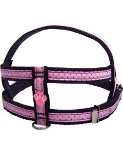 Conjunto Peitoral Nylon Chocolate n°7 Grande