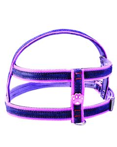 Conjunto Peitoral Nylon Jeans nº7 