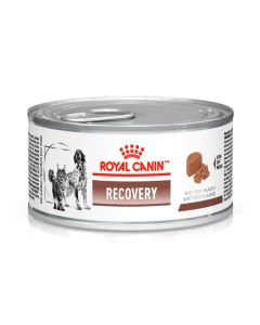 Ração Úmida Royal Canin Recovery Cães e Gatos 195gr