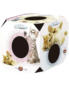 Brinquedo Furacão Pet Cat Box Filhote para Gatos
