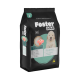 Foster Gold Filhotes Raças Médias e Grandes 15kg Frango & Arroz
